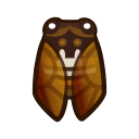 Brown cicada