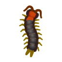 Centipede