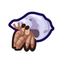 Hermit crab
