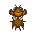Mole cricket