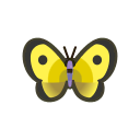 Yellow butterfly