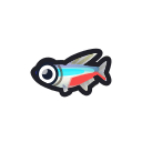 Neon tetra