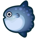Ocean sunfish
