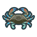 Gazami crab