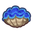 Gigas giant clam