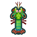 Mantis shrimp