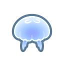 Moon jellyfish