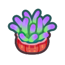 Sea anemone