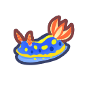 Sea slug
