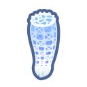 Venus' flower basket